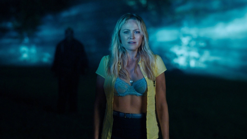 THE FINAL GIRLS (2015) • Frame Rated