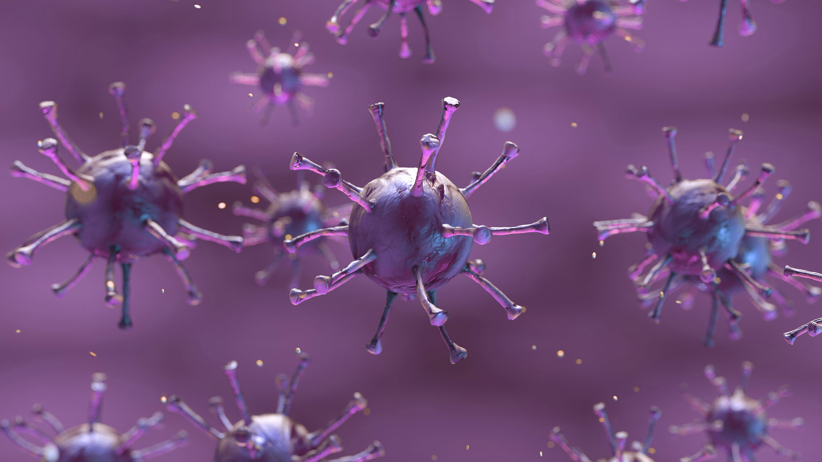 coronavirus