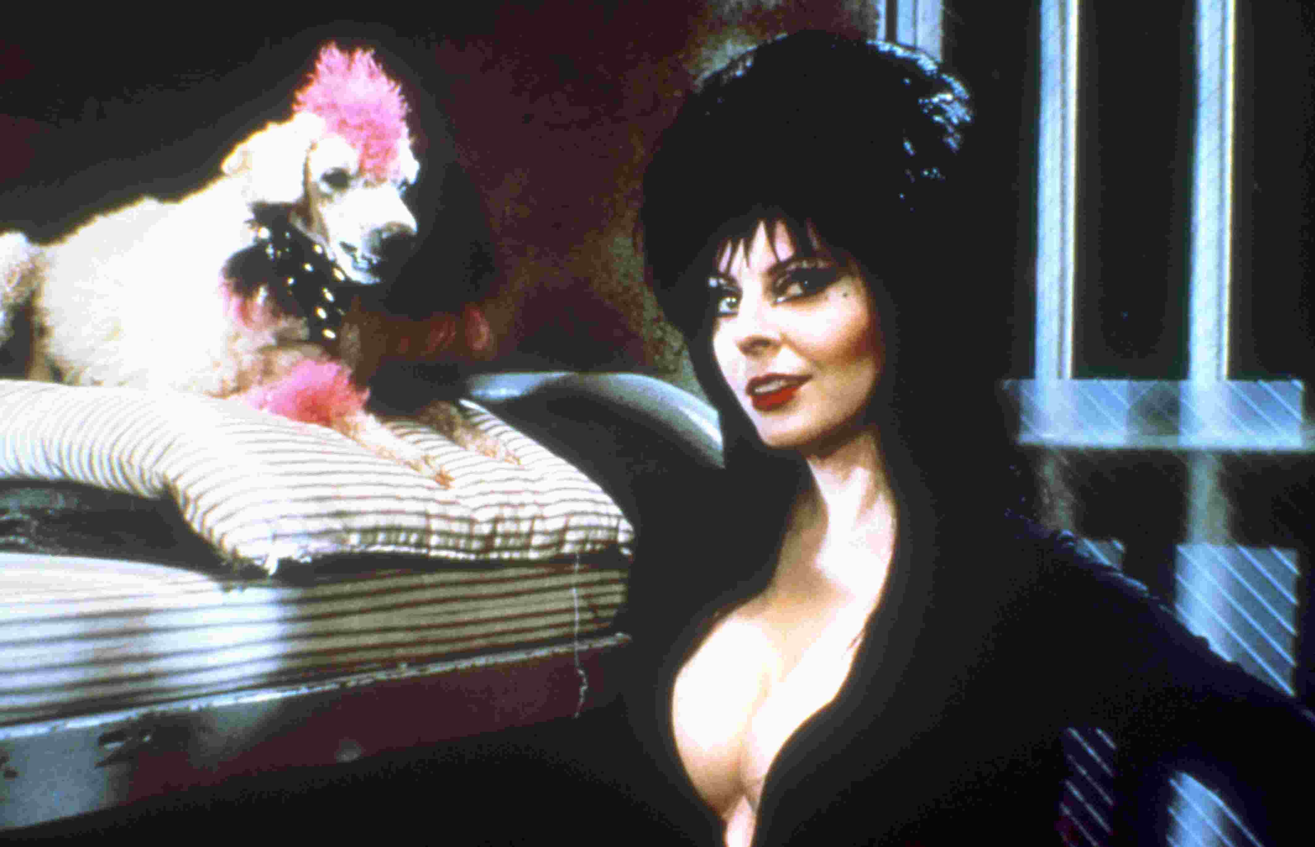 elvira: mistress of the dark (1988)