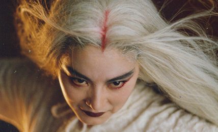 the bride with white hair (1993)