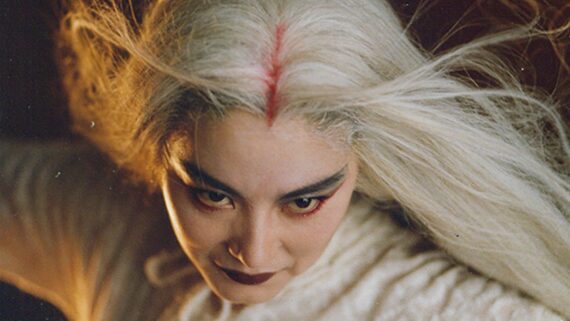 the bride with white hair (1993)