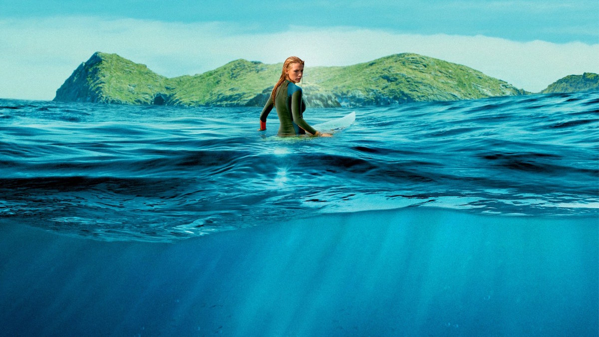 the shallows