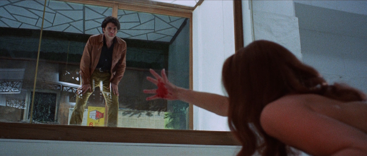 the bird with the crystal plumage