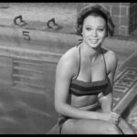 who killed teddy bear