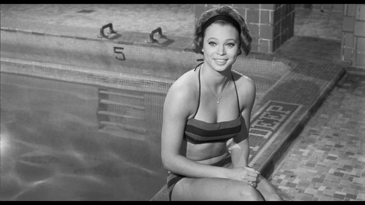 who killed teddy bear