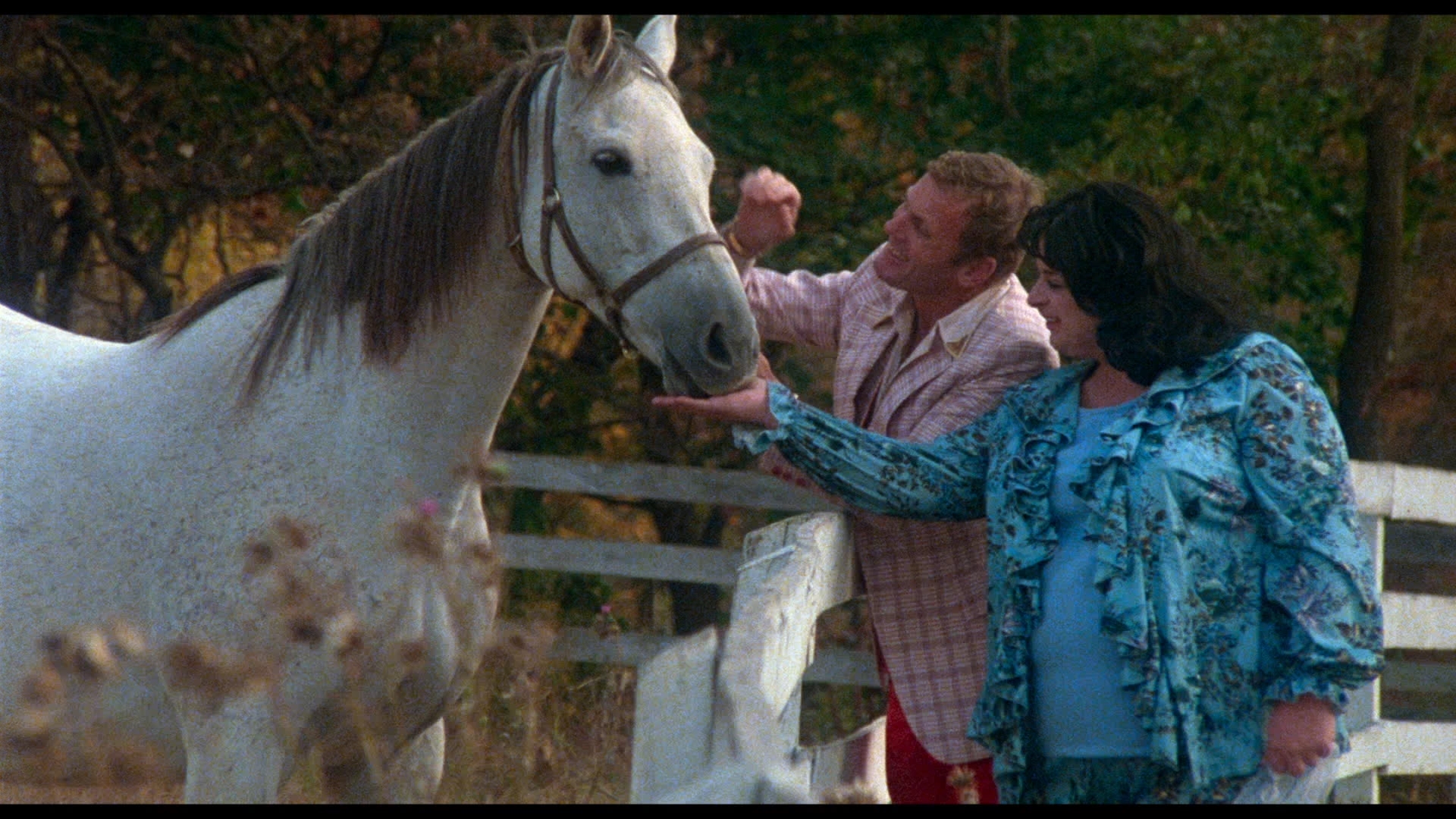 Polyester Show POLYESTER (1981) • Frame Rated