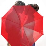 a rainy day in new york (2019)