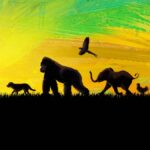 the one and only ivan (2020)