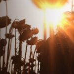 the texas chainsaw massacre (2022)