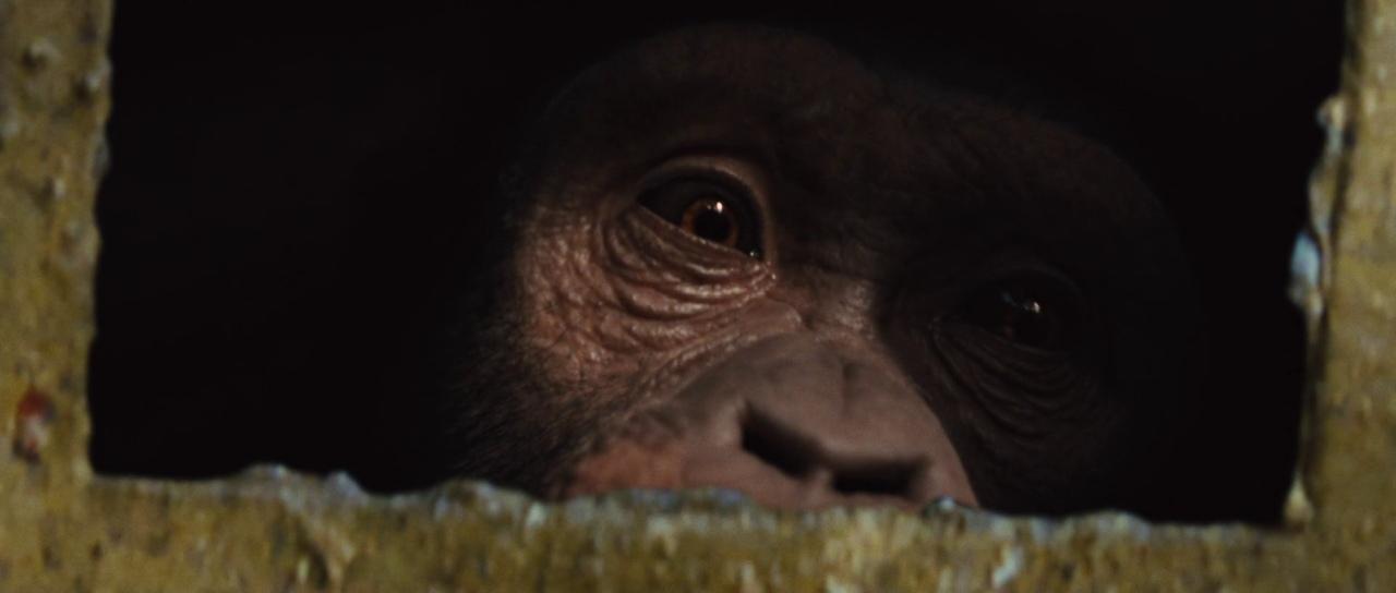 Rise of the Planet of the Apes 004