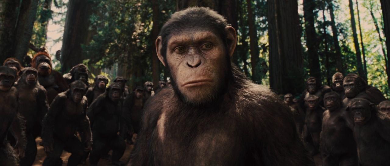 Rise of the Planet of the Apes 063